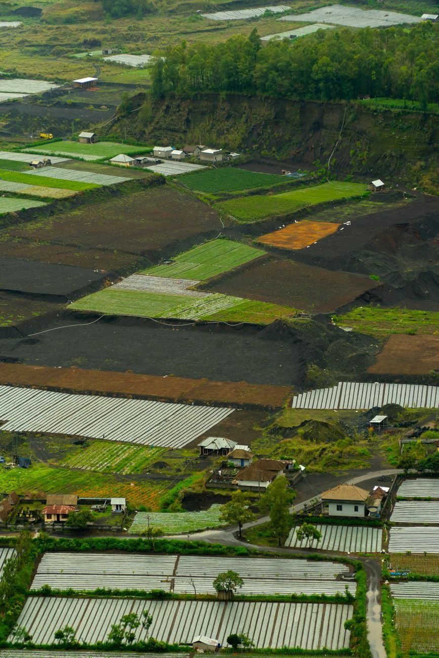 an aerial shot of an agricultural field